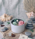 Cactus Jar Candle — Blush & Teal Rosette Garden | Soy Wax, Handmade in USA